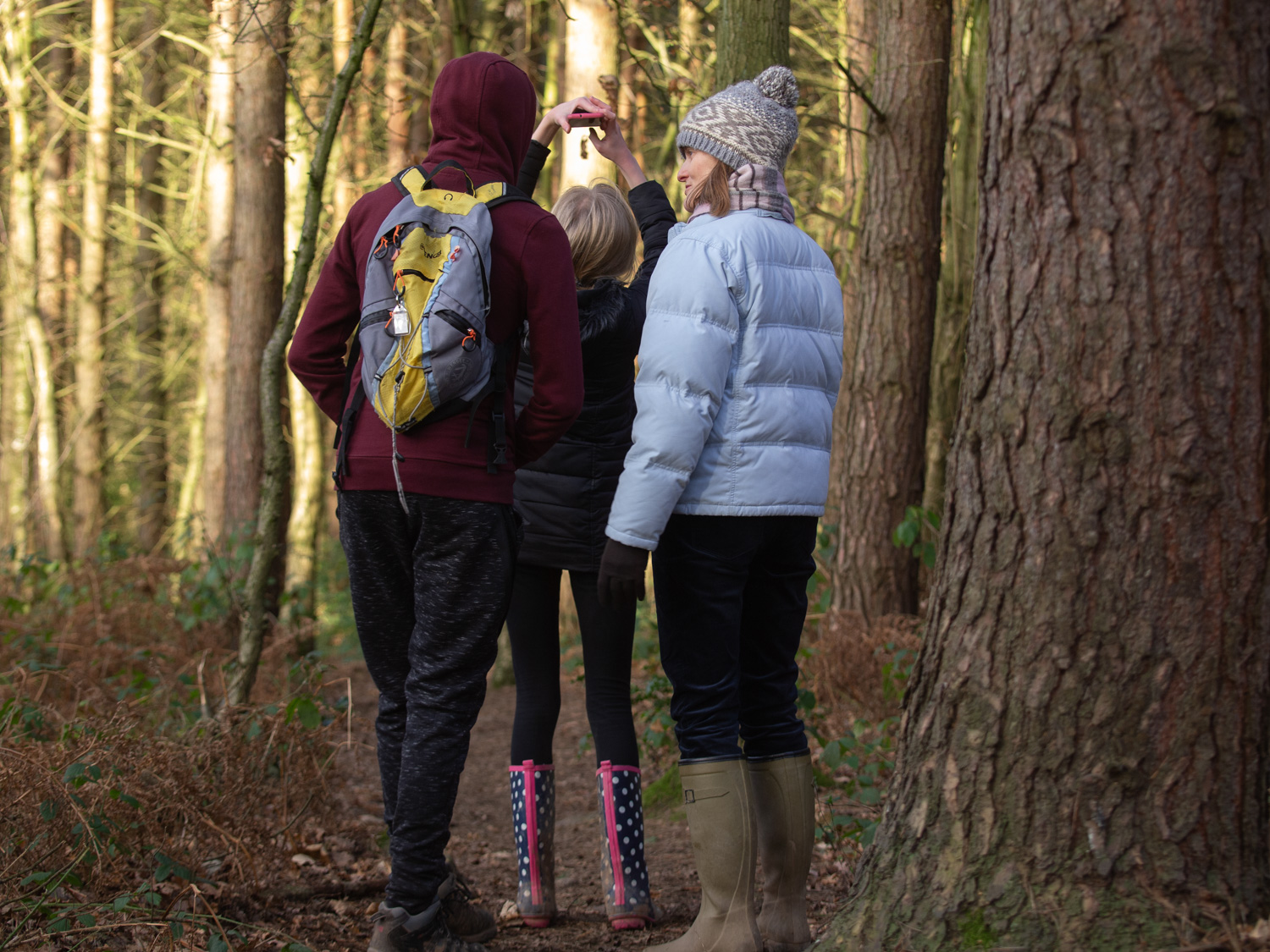 Three people standing together in a woodland looking up and taking photos