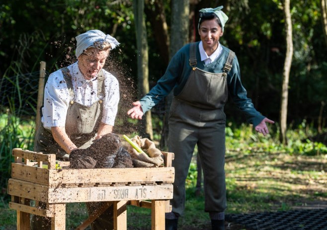A performance at Timber Festival