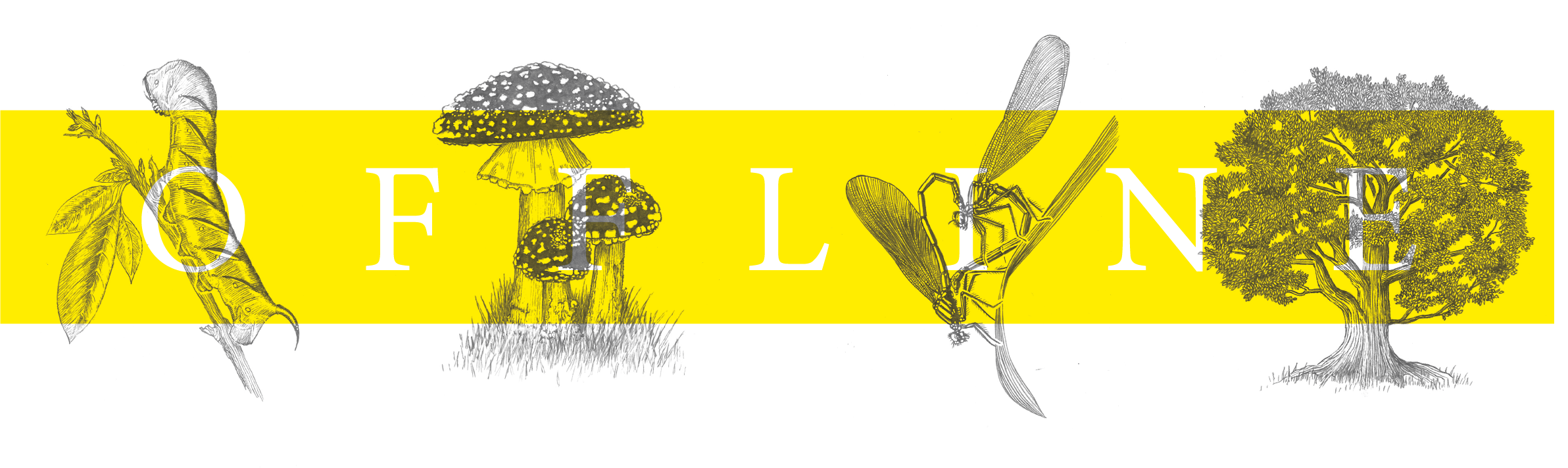 Yellow banner with white text reading "Offline" and illustrations of insects and plants across it.