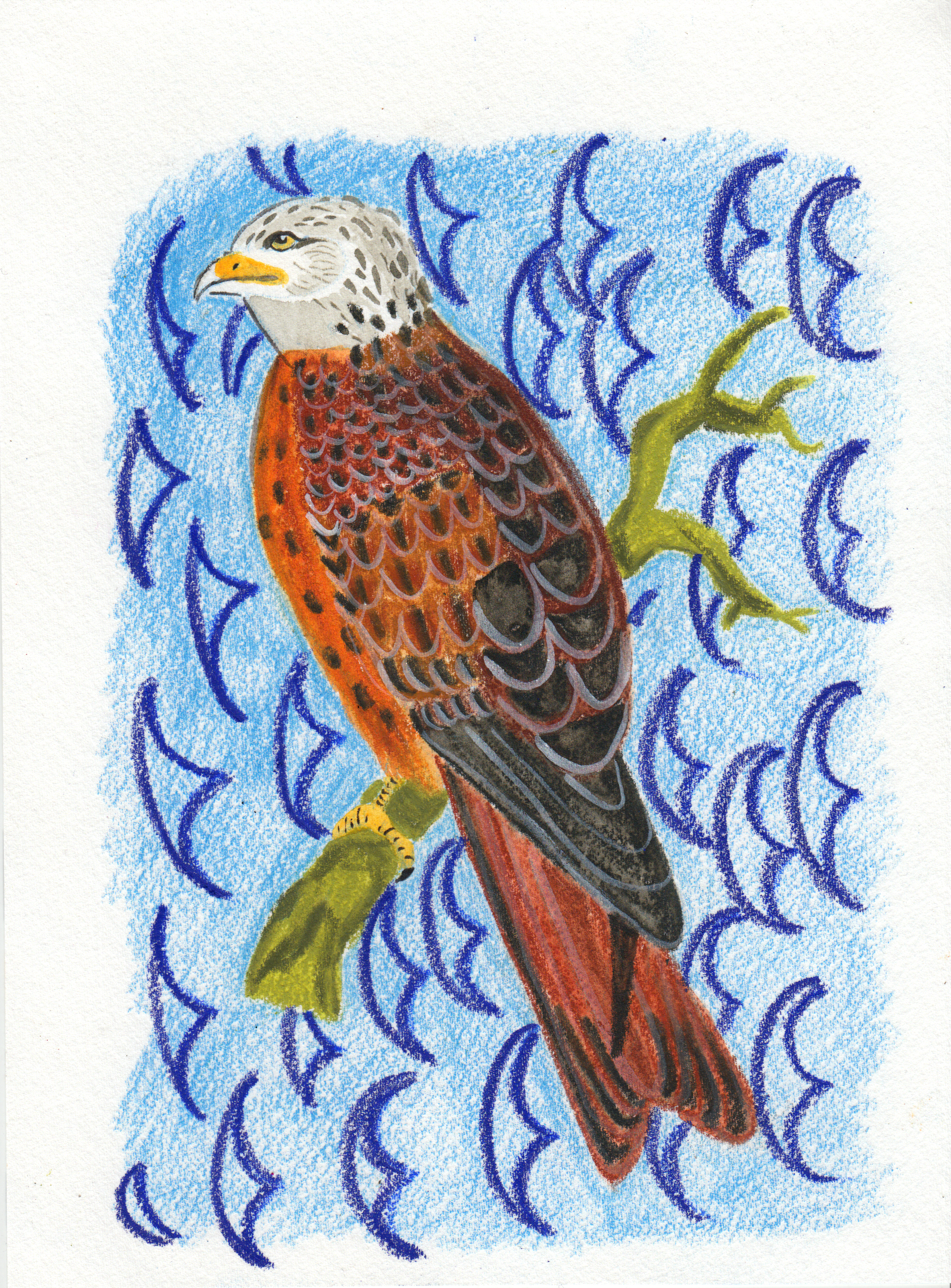 An illustration of a red kite on a branch
