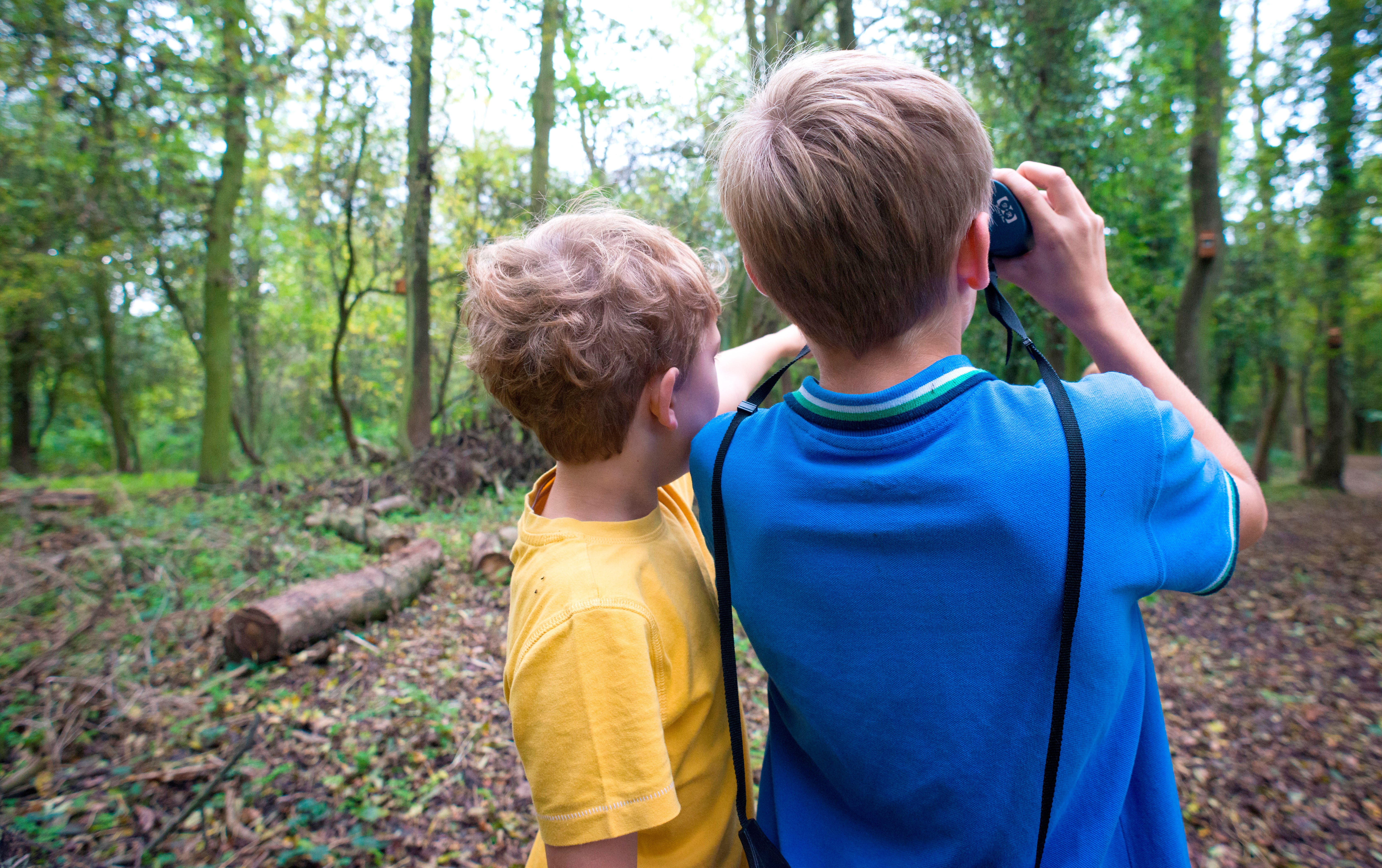 Two children look for wildlife in a woodland. One is looking through a pair of binoculars and the other is pointing at something in the same direction.