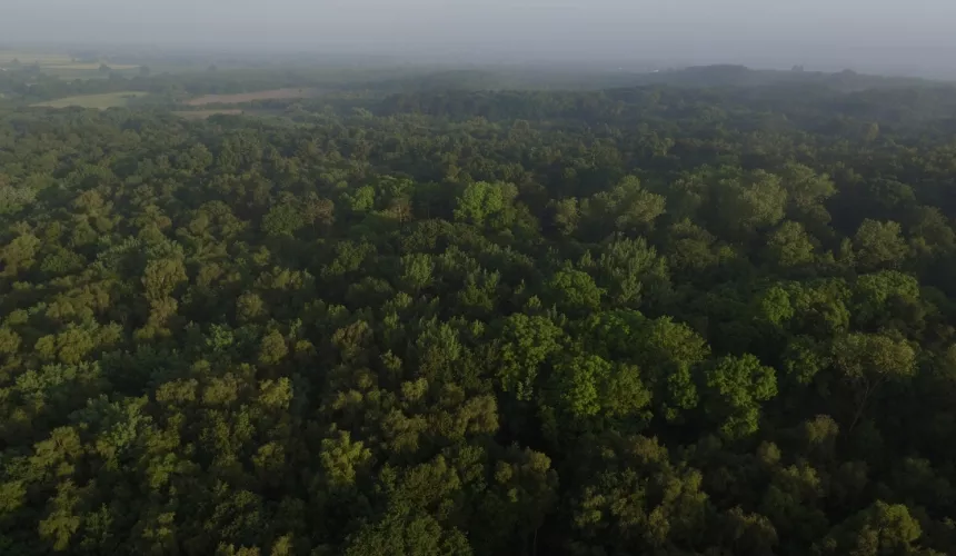 Sign up to newsletter 