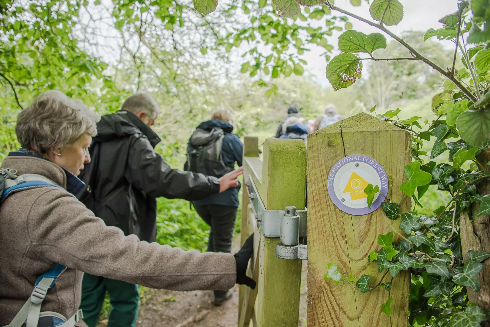 The National Forest Way 