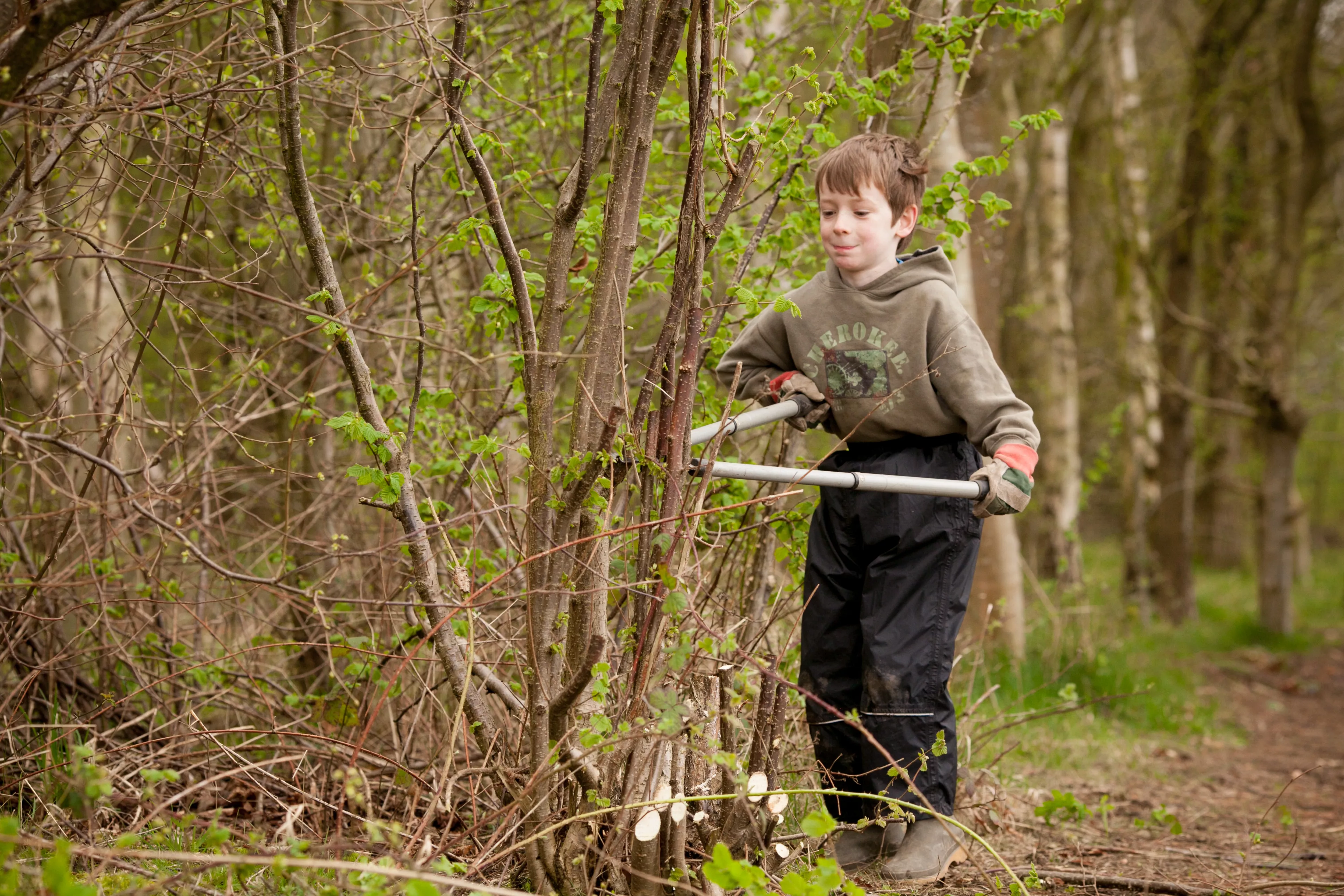 Heartwood Community Woodland Group
