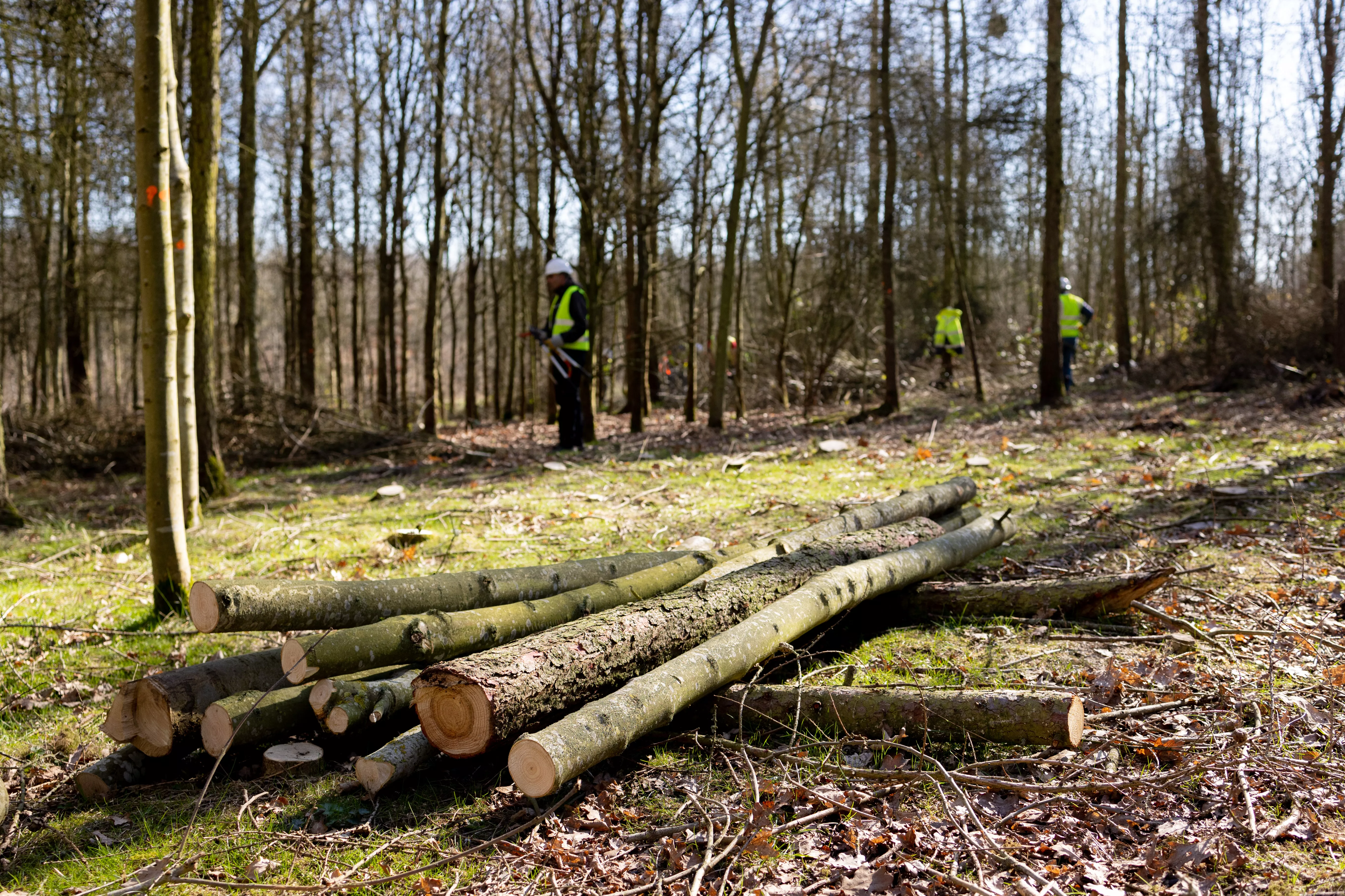 Woodland and habitat management
