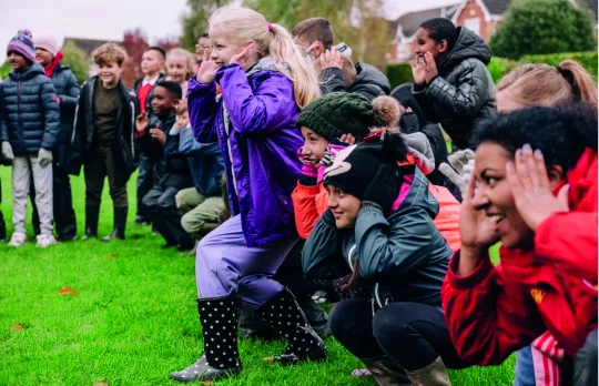 Become a Forest Champion 