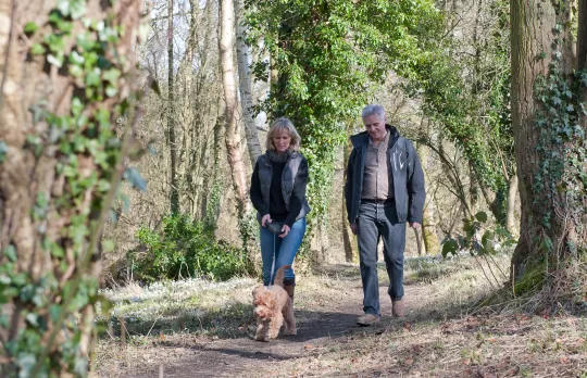 Forest for the Nation