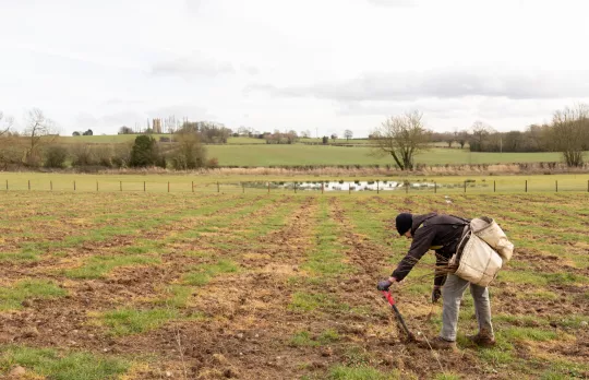 Become a Forest Champion