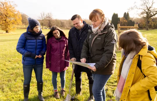 Silver Birch Partner £3000