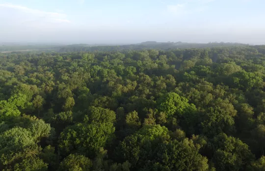 Charity governing document 