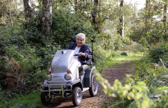 The Forest is for everyone 