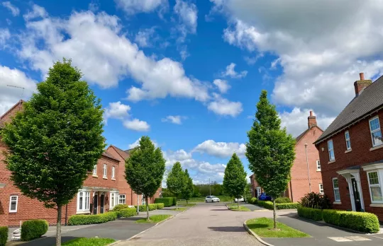 Planning and development 