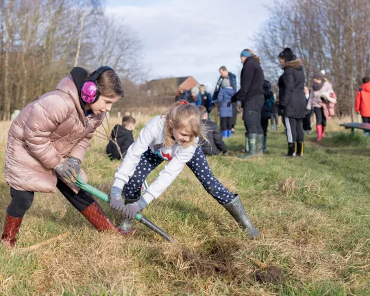 Oversetts Woodland Tree Planting