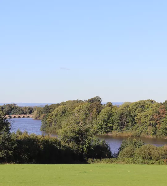 Blackbrook Res