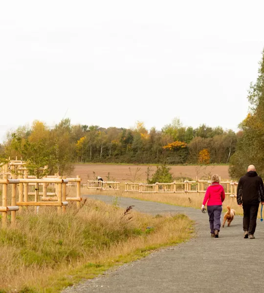 National Forest Way Sence Valley