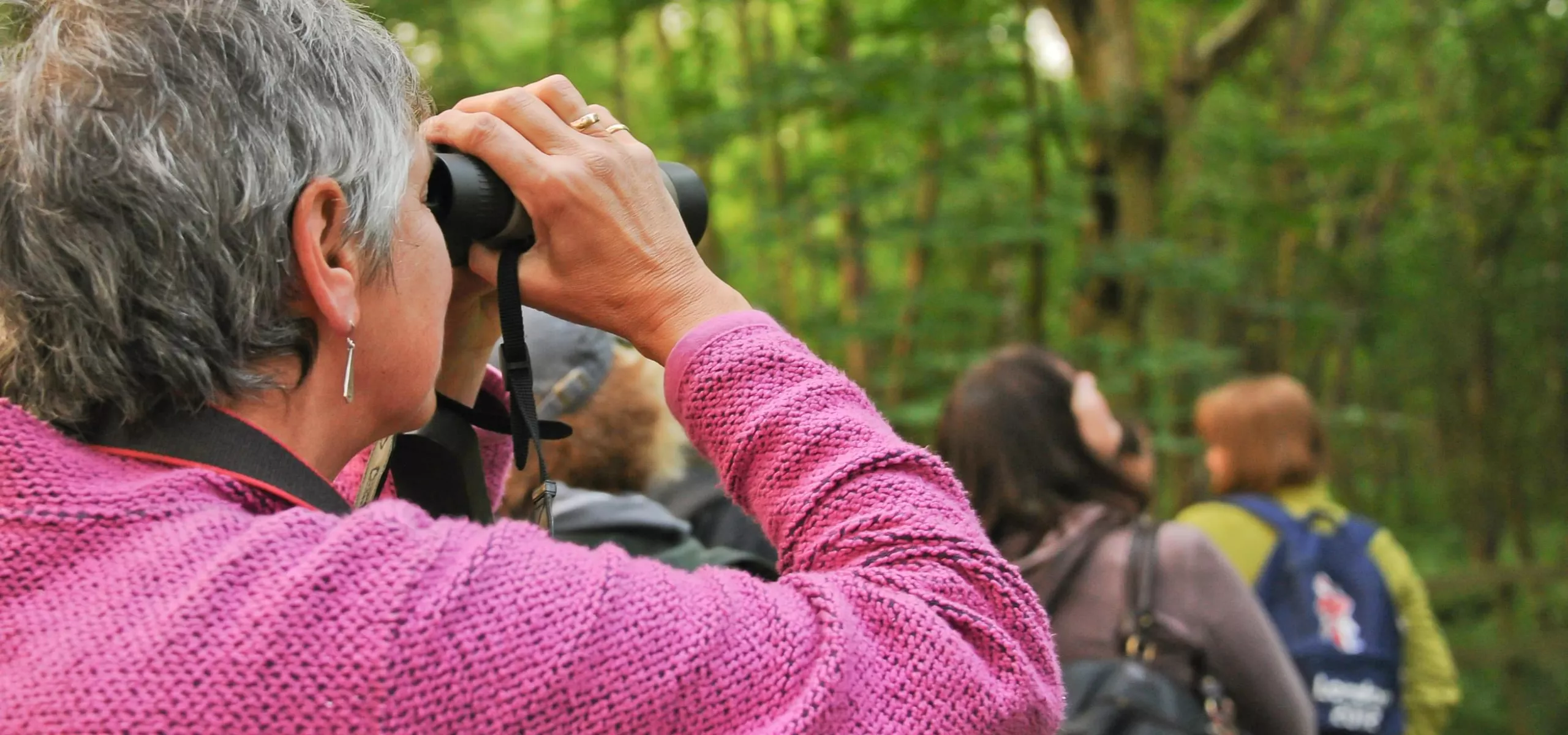 A person in a pink jumper looking through binoculars into a woodland